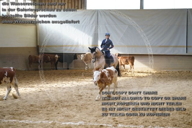 s_K3F02316.JPG